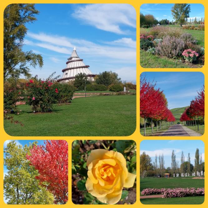 2022_elbauenpark_1.jpg